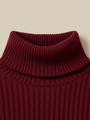 Blusa de Lã Cacharrel Feminina Gola Alta  – Conforto, Estilo e Versatilidade | Aleba